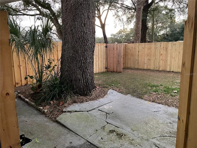 view of yard with a patio area