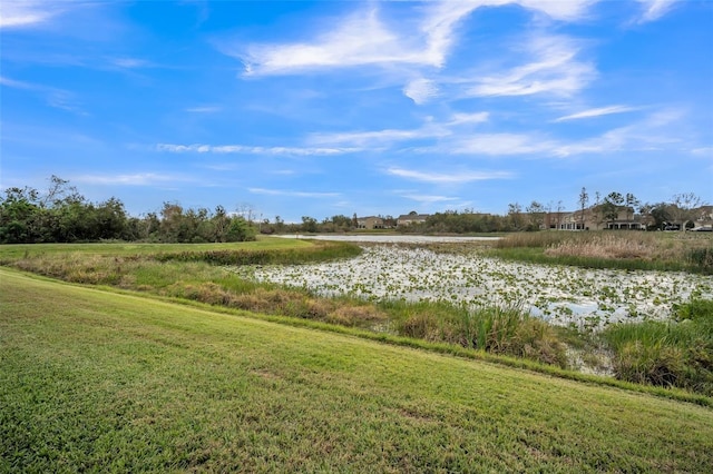 10157 Bessemer Pond Ct, Riverview, FL 33578 - photo 2