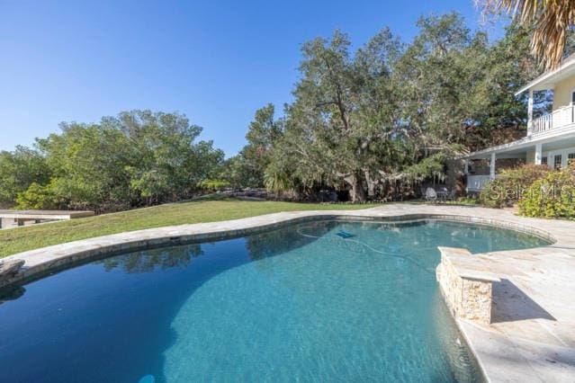 view of swimming pool