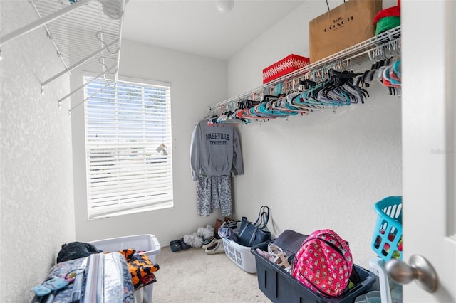 spacious closet featuring carpet