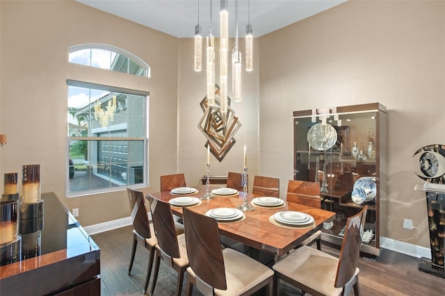 dining area featuring dark hardwood / wood-style flooring