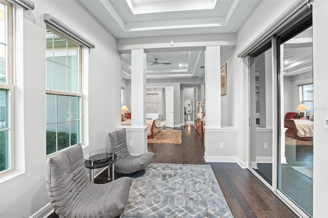 hall with a healthy amount of sunlight, dark hardwood / wood-style flooring, and a raised ceiling