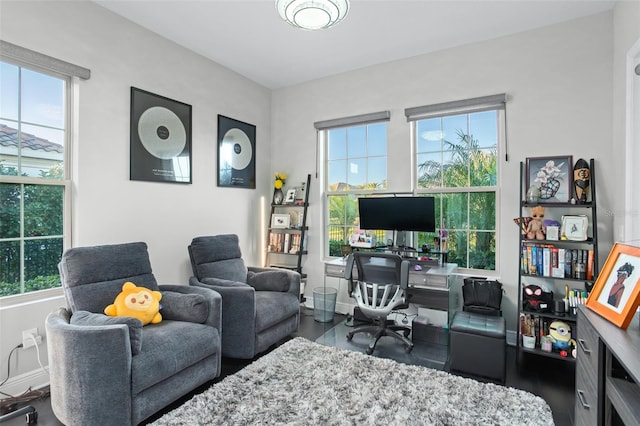 home office featuring dark wood-type flooring