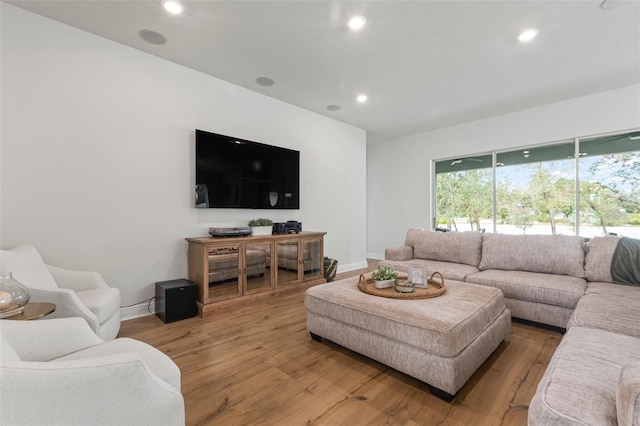 living room featuring wood-type flooring