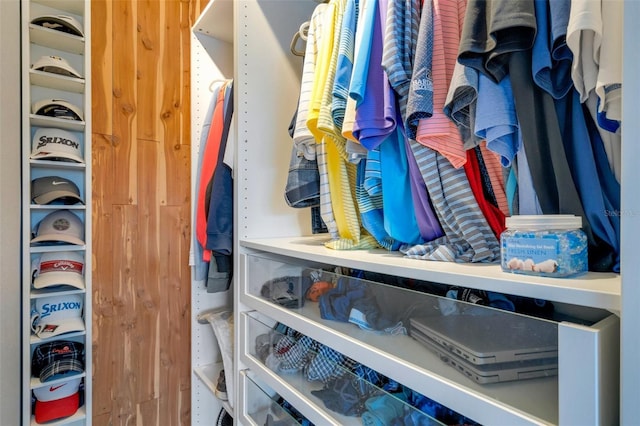 view of walk in closet