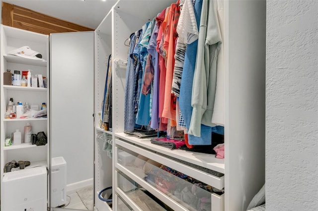 view of spacious closet