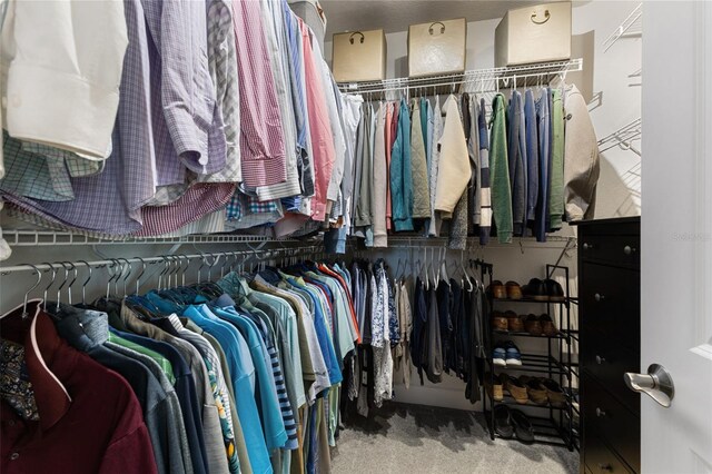 walk in closet featuring carpet floors