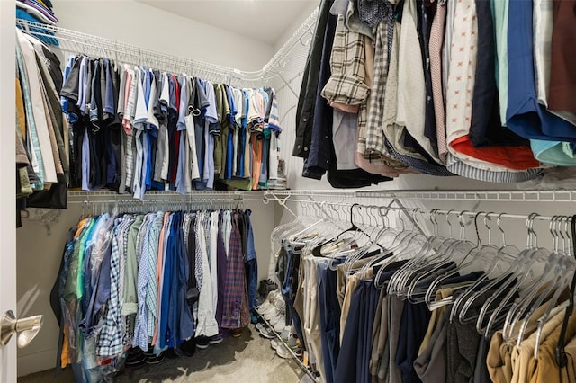 view of spacious closet