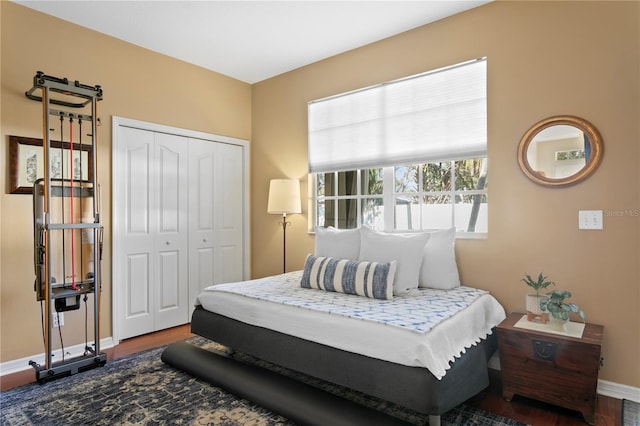 bedroom with a closet and wood-type flooring