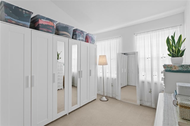 bedroom featuring light colored carpet and multiple windows