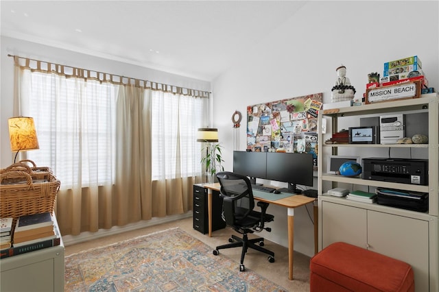 office space with light carpet and plenty of natural light