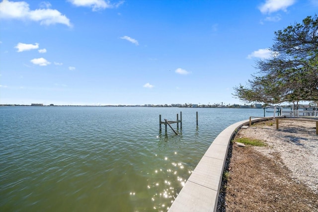 dock area with a water view