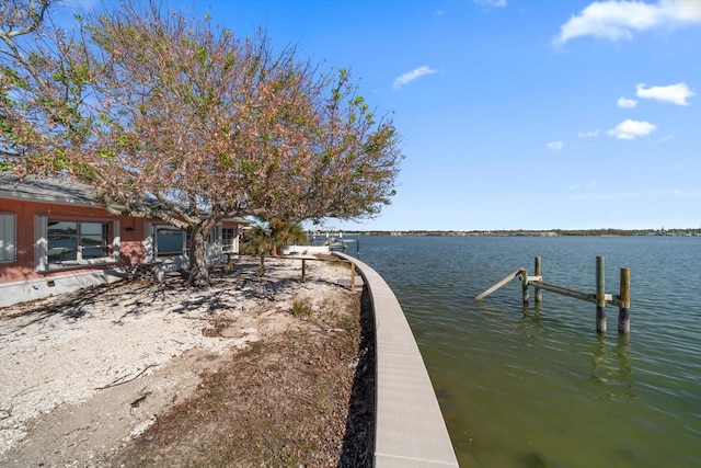 dock area with a water view