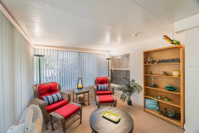 living area featuring carpet flooring