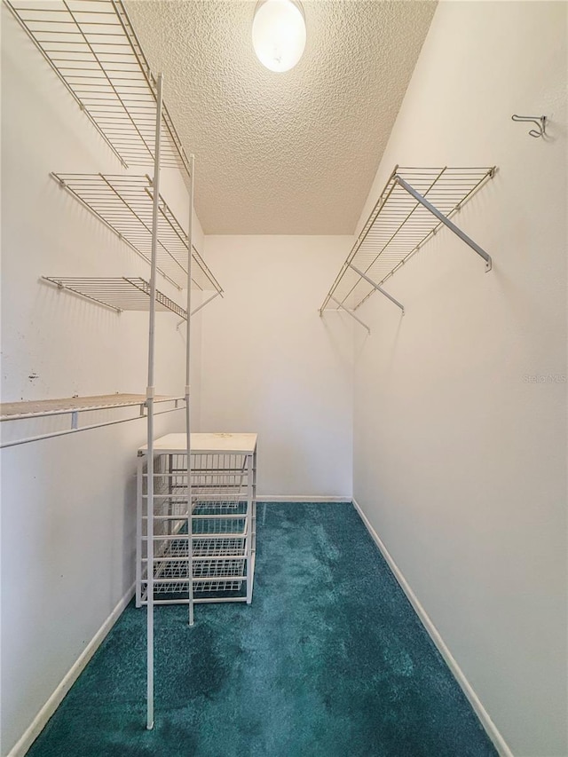 walk in closet with dark carpet