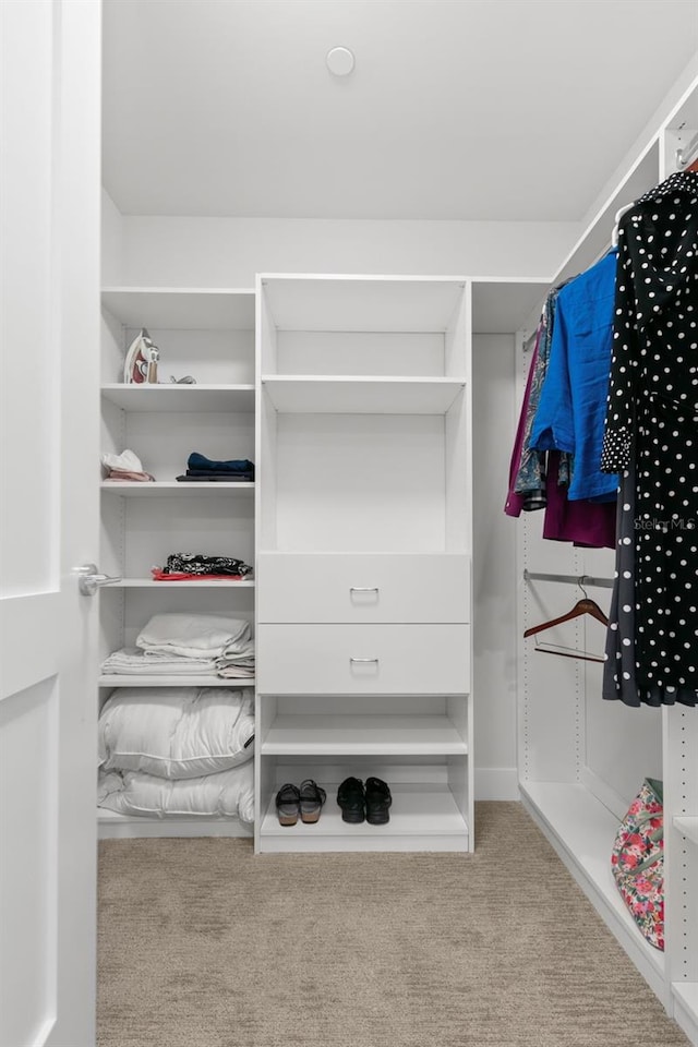 spacious closet with light colored carpet