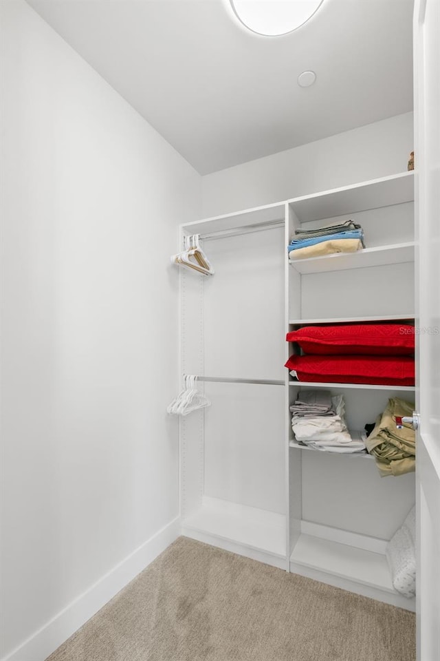 spacious closet featuring carpet floors