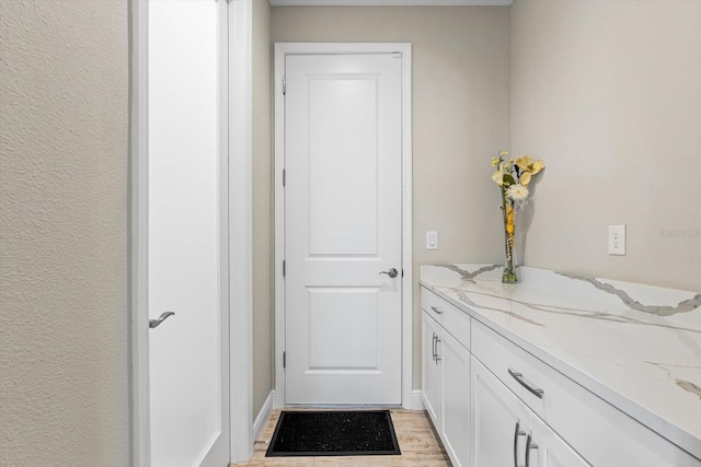 bathroom with wood-type flooring and vanity