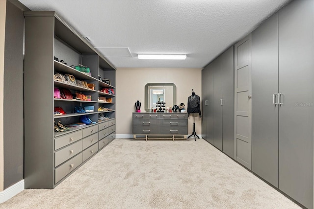 spacious closet with light carpet