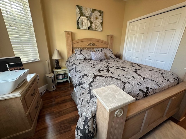 bedroom featuring dark wood-type flooring and a closet