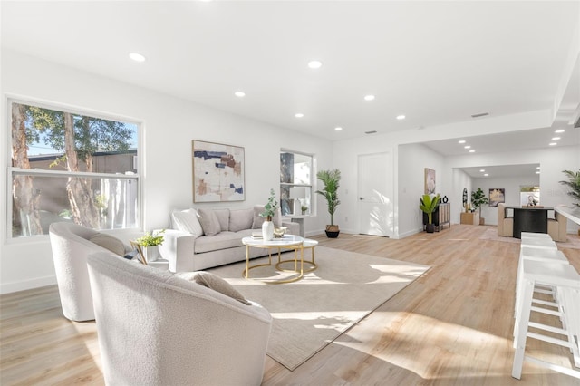 living room featuring light hardwood / wood-style floors