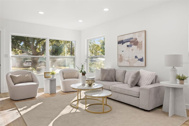 living room with light wood-type flooring