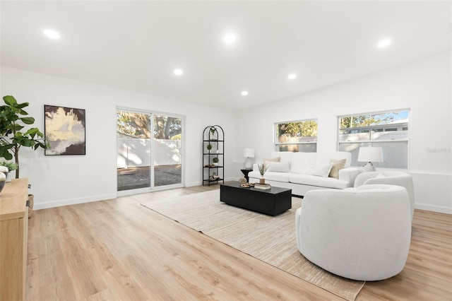 living room featuring a healthy amount of sunlight and light hardwood / wood-style floors