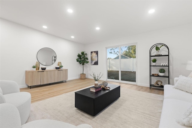 living room featuring wood-type flooring