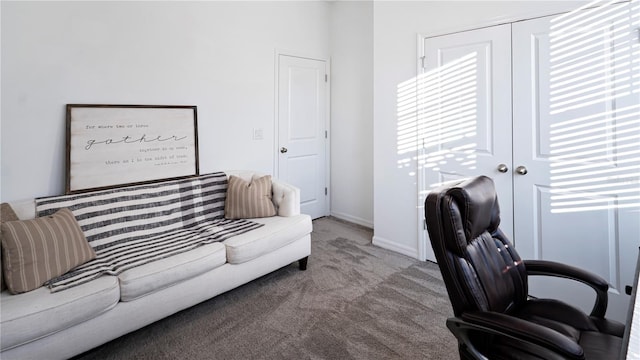 view of carpeted home office