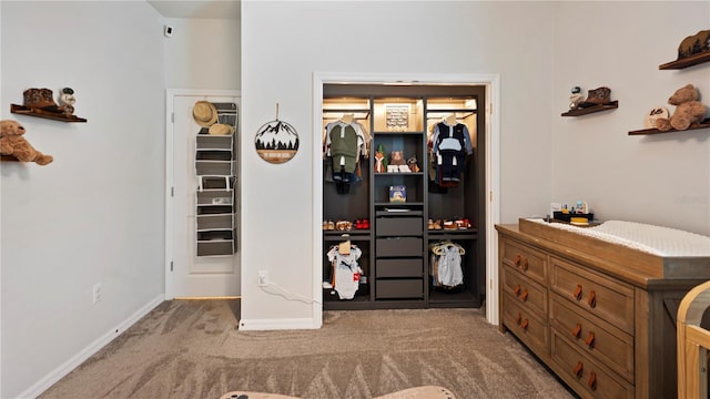 interior space with light colored carpet