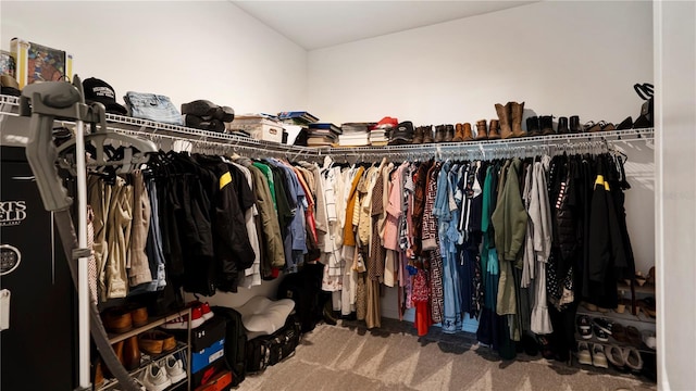 spacious closet featuring carpet