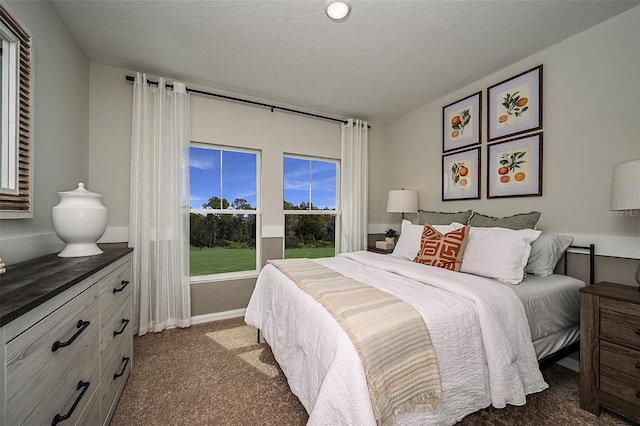 carpeted bedroom with a textured ceiling