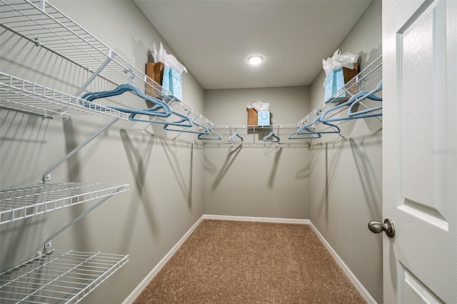 walk in closet with carpet floors