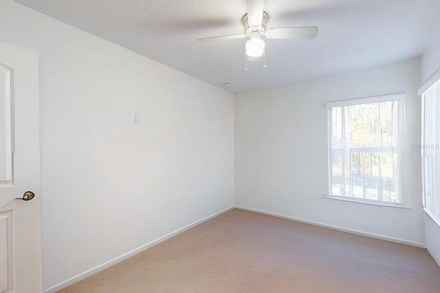 empty room featuring ceiling fan and light carpet