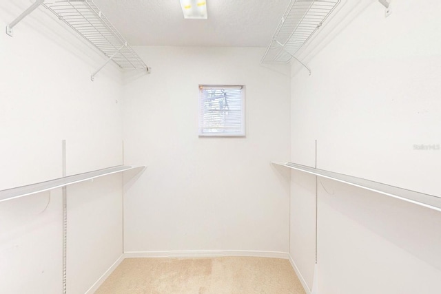 spacious closet with light colored carpet