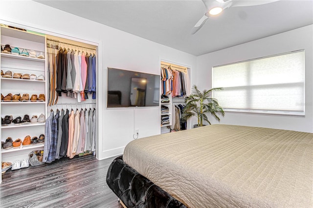 bedroom with ceiling fan, multiple closets, and wood finished floors