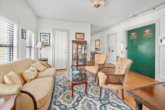 living room featuring wood-type flooring