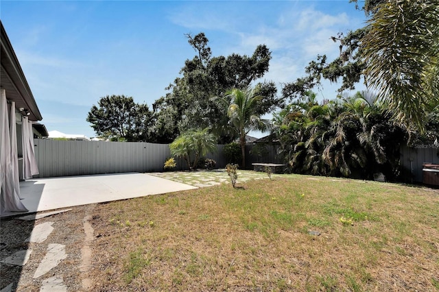 view of yard featuring a patio area