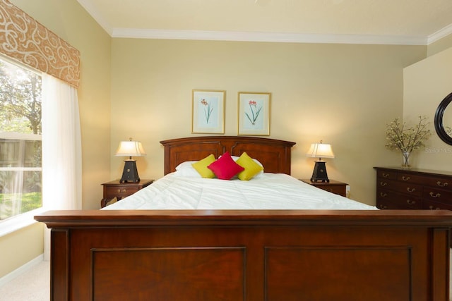 bedroom featuring multiple windows, carpet floors, and ornamental molding