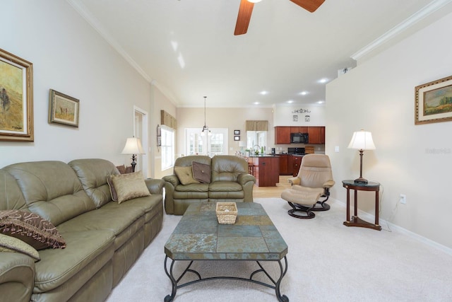 carpeted living room with ceiling fan and crown molding