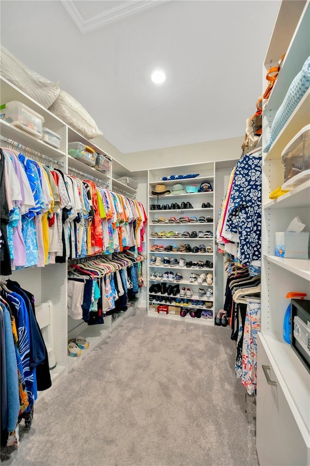 walk in closet featuring carpet flooring