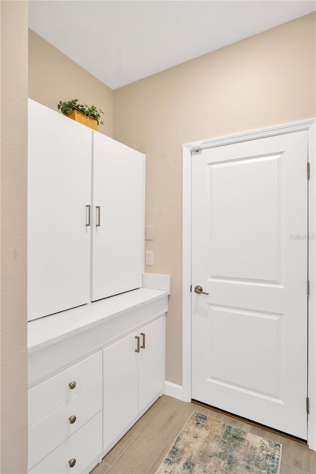 bathroom featuring wood-type flooring