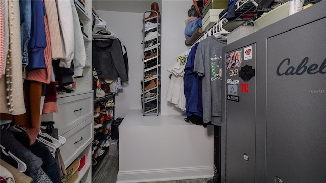 spacious closet featuring wood-type flooring