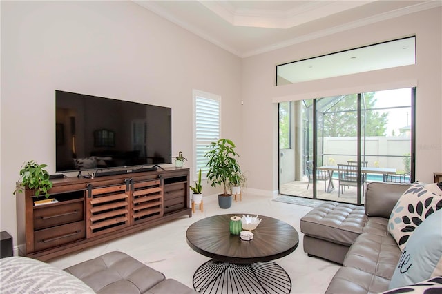 living room featuring a raised ceiling and ornamental molding