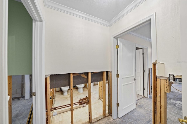 hallway with crown molding