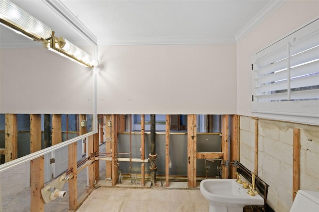 bathroom with sink, a bidet, and ornamental molding