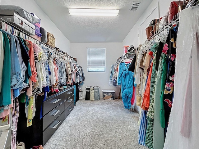 spacious closet featuring carpet