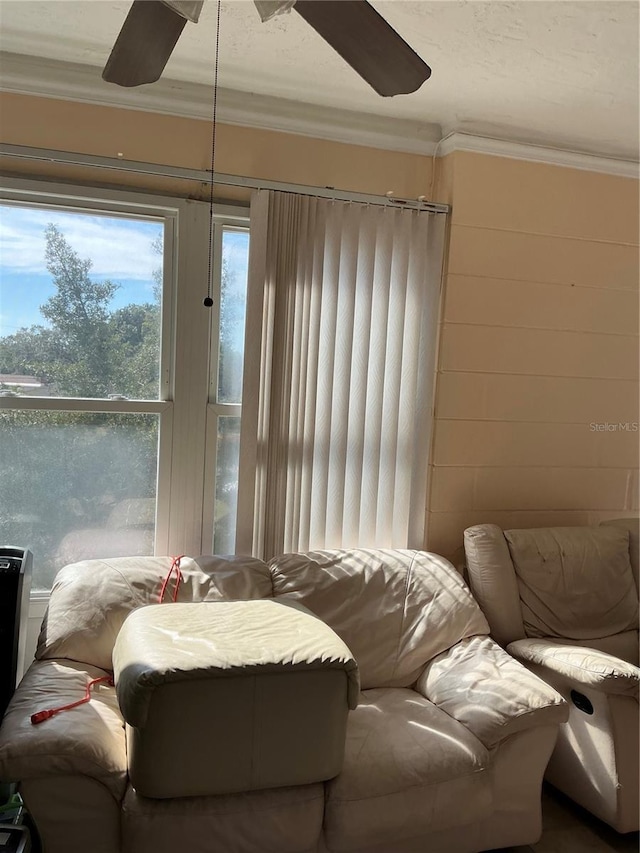 living room with ceiling fan and ornamental molding