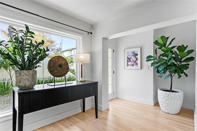 miscellaneous room featuring crown molding and light hardwood / wood-style flooring