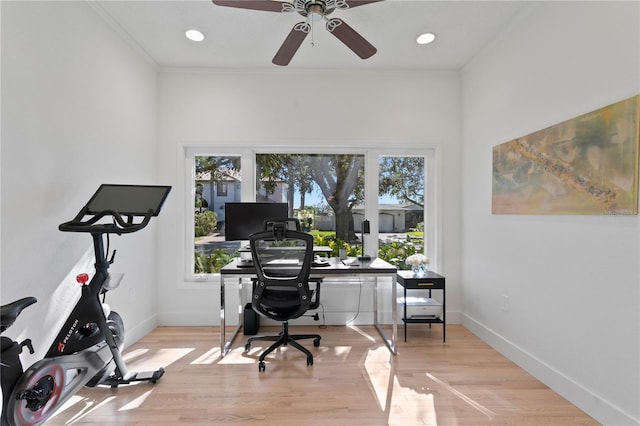 office featuring crown molding, ceiling fan, and wood-type flooring